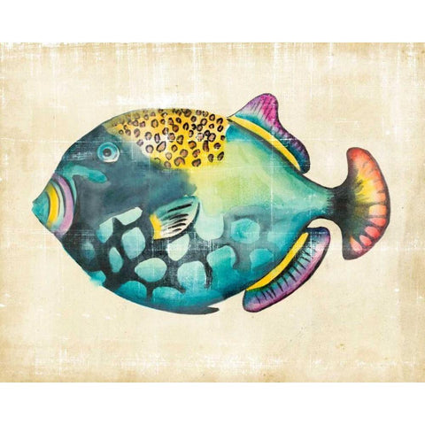 Aquarium Fish IV Black Modern Wood Framed Art Print by Zarris, Chariklia