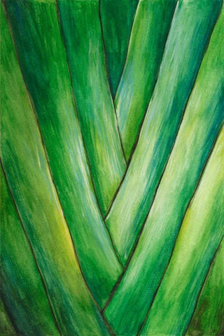 Tropical Crop III White Modern Wood Framed Art Print with Double Matting by Wang, Melissa