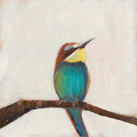 Bird Profile II White Modern Wood Framed Art Print with Double Matting by Iafrate, Sandra