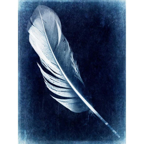 Inverted Feather I Black Modern Wood Framed Art Print with Double Matting by Malek, Honey