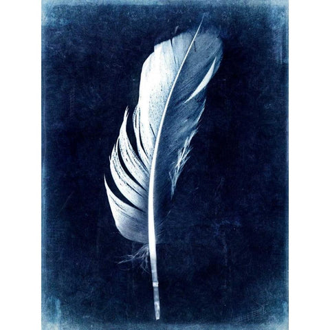 Inverted Feather II Black Modern Wood Framed Art Print with Double Matting by Malek, Honey