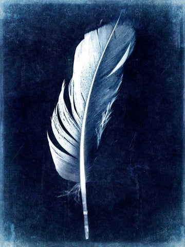 Inverted Feather II White Modern Wood Framed Art Print with Double Matting by Malek, Honey