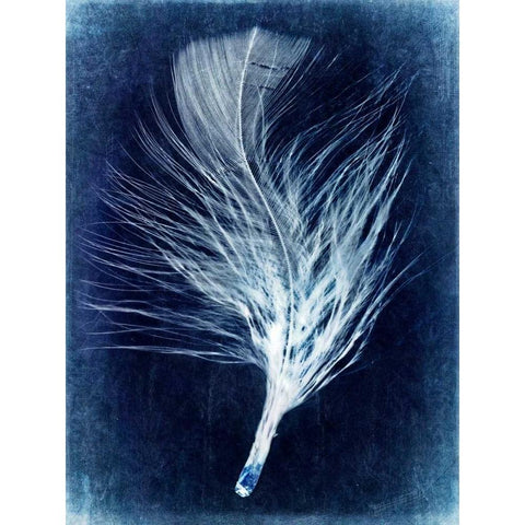 Inverted Feather III White Modern Wood Framed Art Print by Malek, Honey