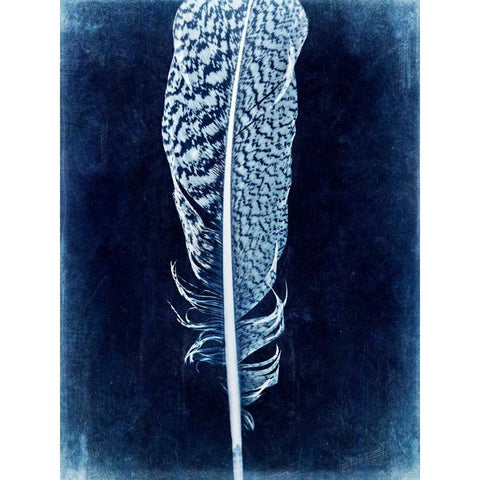 Inverted Feather IV Black Modern Wood Framed Art Print with Double Matting by Malek, Honey