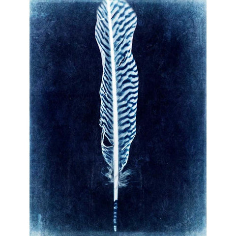 Inverted Feather V Black Modern Wood Framed Art Print by Malek, Honey