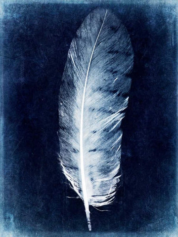 Inverted Feather VI White Modern Wood Framed Art Print with Double Matting by Malek, Honey