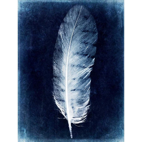 Inverted Feather VI Black Modern Wood Framed Art Print with Double Matting by Malek, Honey