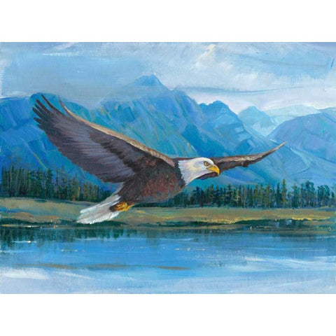 Eagle Soaring Gold Ornate Wood Framed Art Print with Double Matting by OToole, Tim