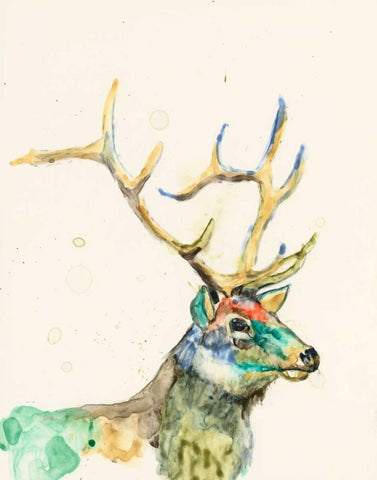 Hi Fi Wildlife III Black Ornate Wood Framed Art Print with Double Matting by Goldberger, Jennifer