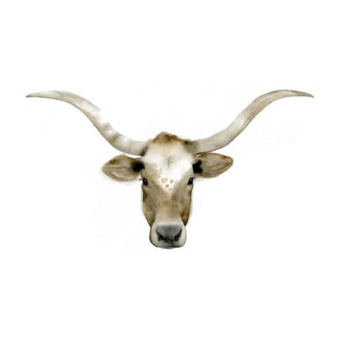 Longhorn Steer II White Modern Wood Framed Art Print by Popp, Grace