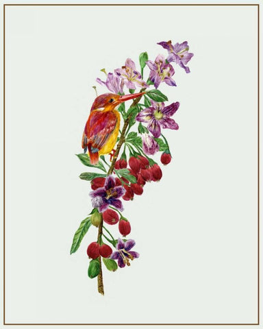 Lycium Barbarum II White Modern Wood Framed Art Print with Double Matting by Wang, Melissa