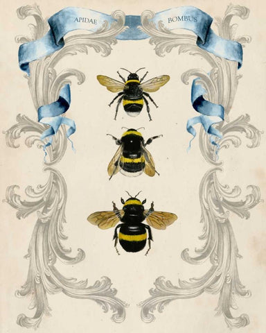 Bees and Filigree I White Modern Wood Framed Art Print with Double Matting by McCavitt, Naomi