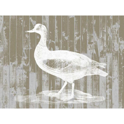 Woodgrain Fowl II White Modern Wood Framed Art Print by Goldberger, Jennifer