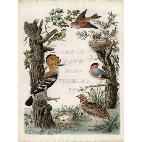 Woodpecker Sanctuary Black Modern Wood Framed Art Print by Nozeman