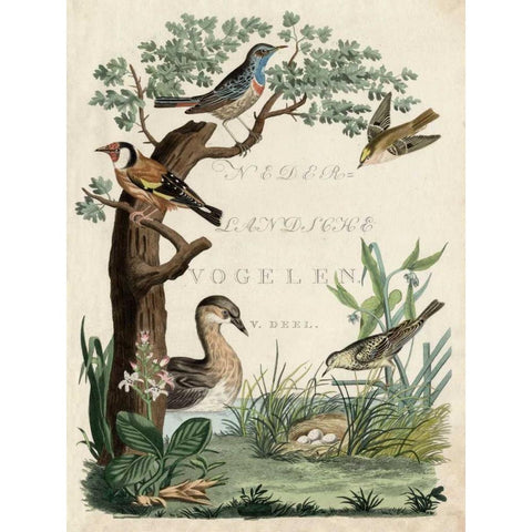 Duck Sanctuary Black Modern Wood Framed Art Print by Nozeman