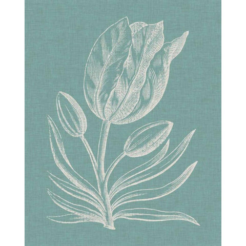 Graceful Floral I White Modern Wood Framed Art Print by Vision Studio