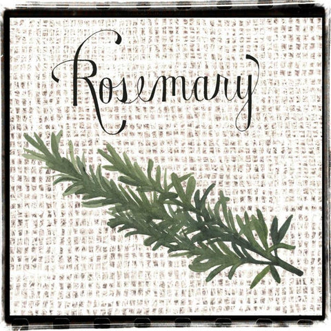 Burlap Herbs I Black Modern Wood Framed Art Print with Double Matting by Popp, Grace