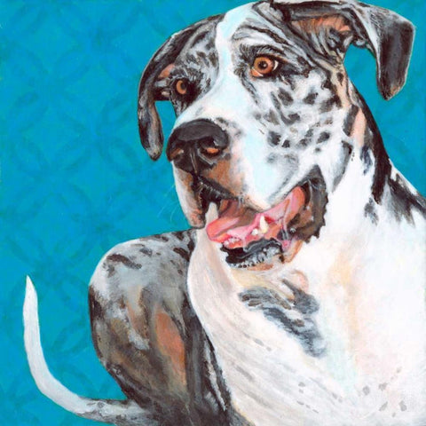 Dlynns Dogs - Apollo White Modern Wood Framed Art Print by Roll, Dylnn