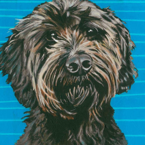 Dlynns Dogs - Mini White Modern Wood Framed Art Print by Roll, Dylnn