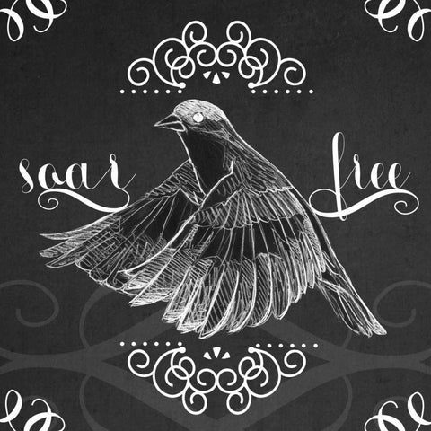 Chalkboard Bird II Black Modern Wood Framed Art Print with Double Matting by Vess, June Erica