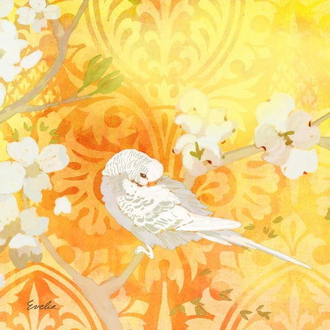 Budgie and Cartouche II White Modern Wood Framed Art Print with Double Matting by Evelia Designs