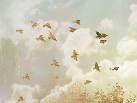 Golden Flight II White Modern Wood Framed Art Print with Double Matting by Goldberger, Jennifer