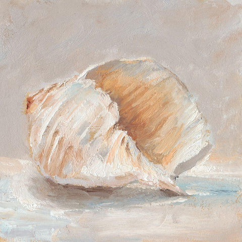 Impressionist Shell Study IV Black Modern Wood Framed Art Print by Harper, Ethan