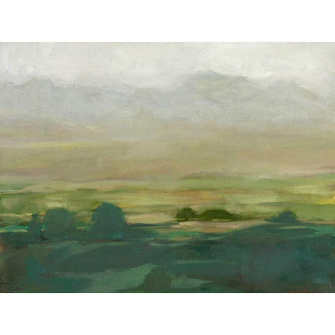 Misty Valley I Gold Ornate Wood Framed Art Print with Double Matting by Harper, Ethan