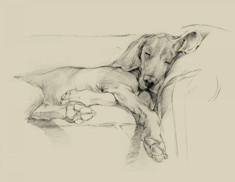 Dog Days I White Modern Wood Framed Art Print with Double Matting by Harper, Ethan