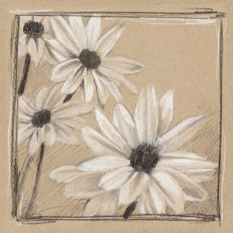 White Floral Study II Black Modern Wood Framed Art Print by Harper, Ethan