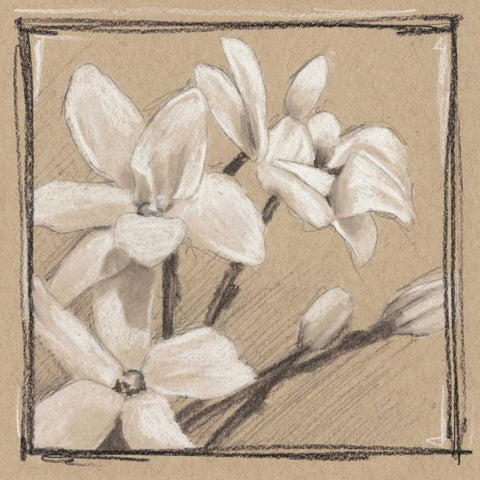White Floral Study III Black Modern Wood Framed Art Print by Harper, Ethan