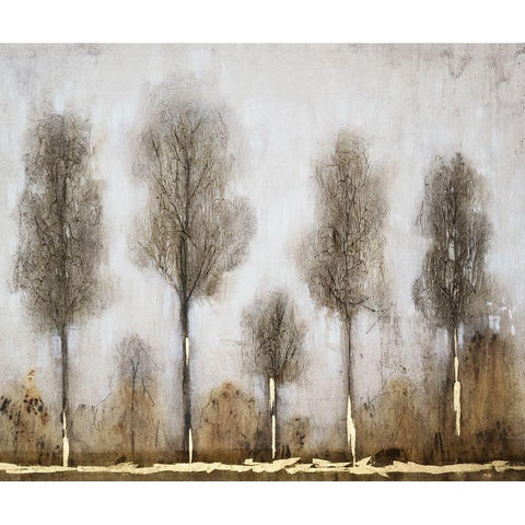 Gray Day I Black Modern Wood Framed Art Print with Double Matting by OToole, Tim