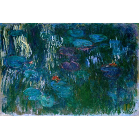 Water Lilies II White Modern Wood Framed Art Print by Monet, Claude