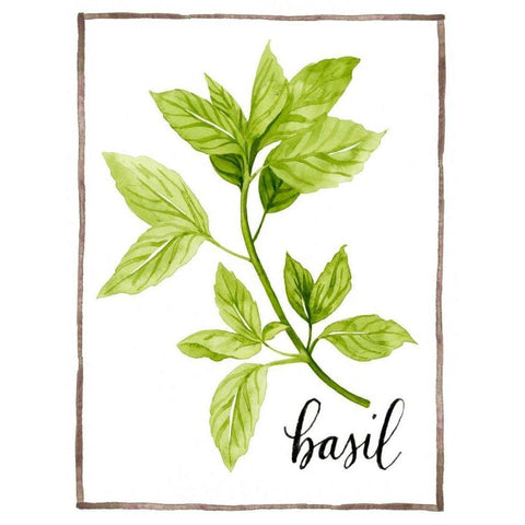 Watercolor Herbs I Black Modern Wood Framed Art Print with Double Matting by Popp, Grace