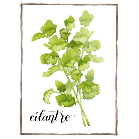 Watercolor Herbs IV Black Modern Wood Framed Art Print with Double Matting by Popp, Grace