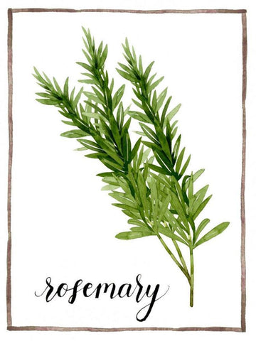 Watercolor Herbs V Black Ornate Wood Framed Art Print with Double Matting by Popp, Grace