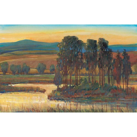Open Inlet II Gold Ornate Wood Framed Art Print with Double Matting by OToole, Tim