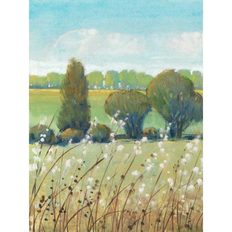 Summer Breeze I Black Modern Wood Framed Art Print by OToole, Tim