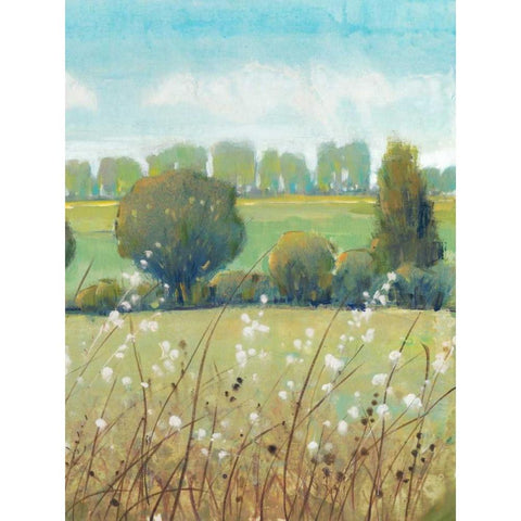 Summer Breeze II Black Modern Wood Framed Art Print by OToole, Tim