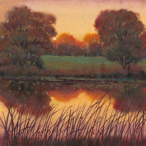 Early Evening I Black Modern Wood Framed Art Print by OToole, Tim