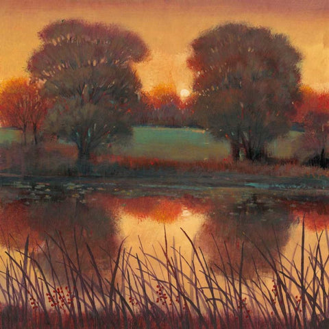 Early Evening II Black Modern Wood Framed Art Print by OToole, Tim