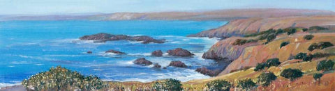 Panoramic Ocean View I White Modern Wood Framed Art Print with Double Matting by OToole, Tim