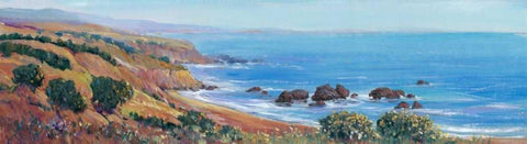 Panoramic Ocean View II White Modern Wood Framed Art Print with Double Matting by OToole, Tim