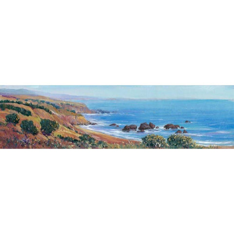 Panoramic Ocean View II Black Modern Wood Framed Art Print by OToole, Tim