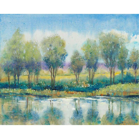 River Reflection I Black Modern Wood Framed Art Print by OToole, Tim