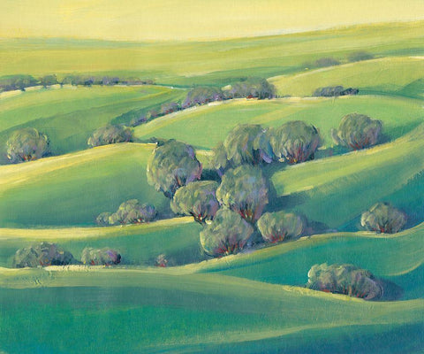 Hillside View II White Modern Wood Framed Art Print with Double Matting by OToole, Tim