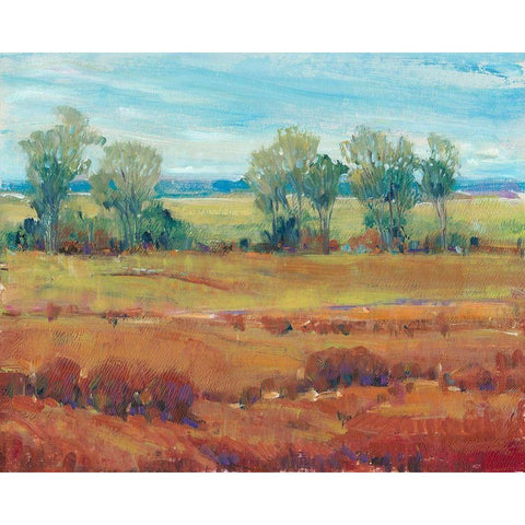 Red Clay I Gold Ornate Wood Framed Art Print with Double Matting by OToole, Tim
