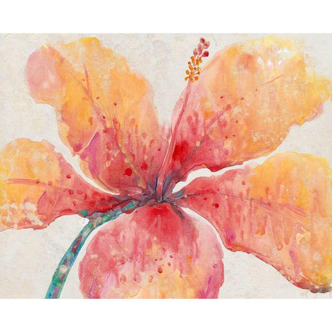 Blooming Hibiscus Gold Ornate Wood Framed Art Print with Double Matting by OToole, Tim