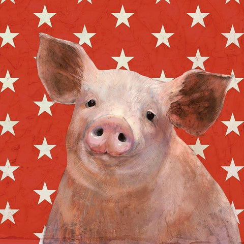Patriotic Farm III Black Modern Wood Framed Art Print by Borges, Victoria