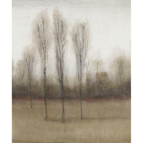 Last Day of Fall II Black Modern Wood Framed Art Print with Double Matting by OToole, Tim